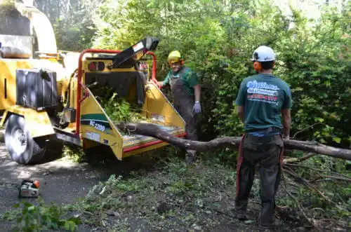 tree services Humeston